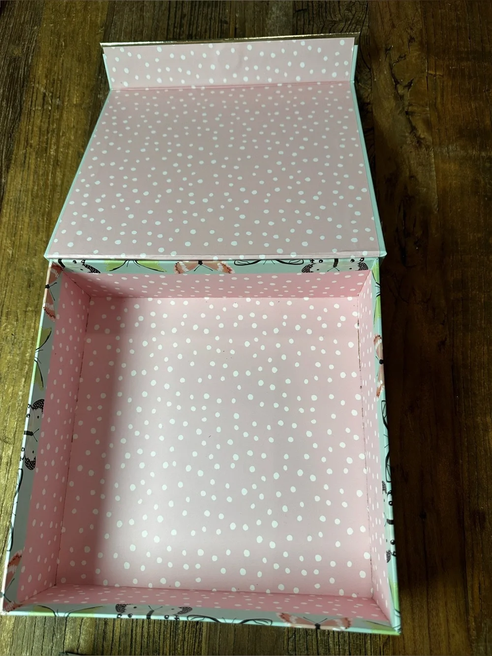 Butterfly Canvas Storage Box Set - Mint Green & Coral